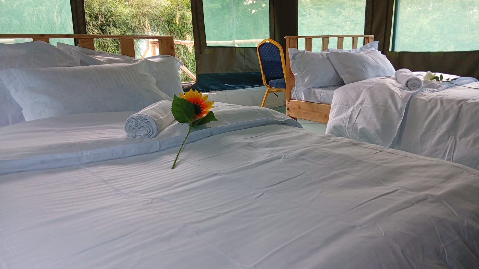 Olesam Camp