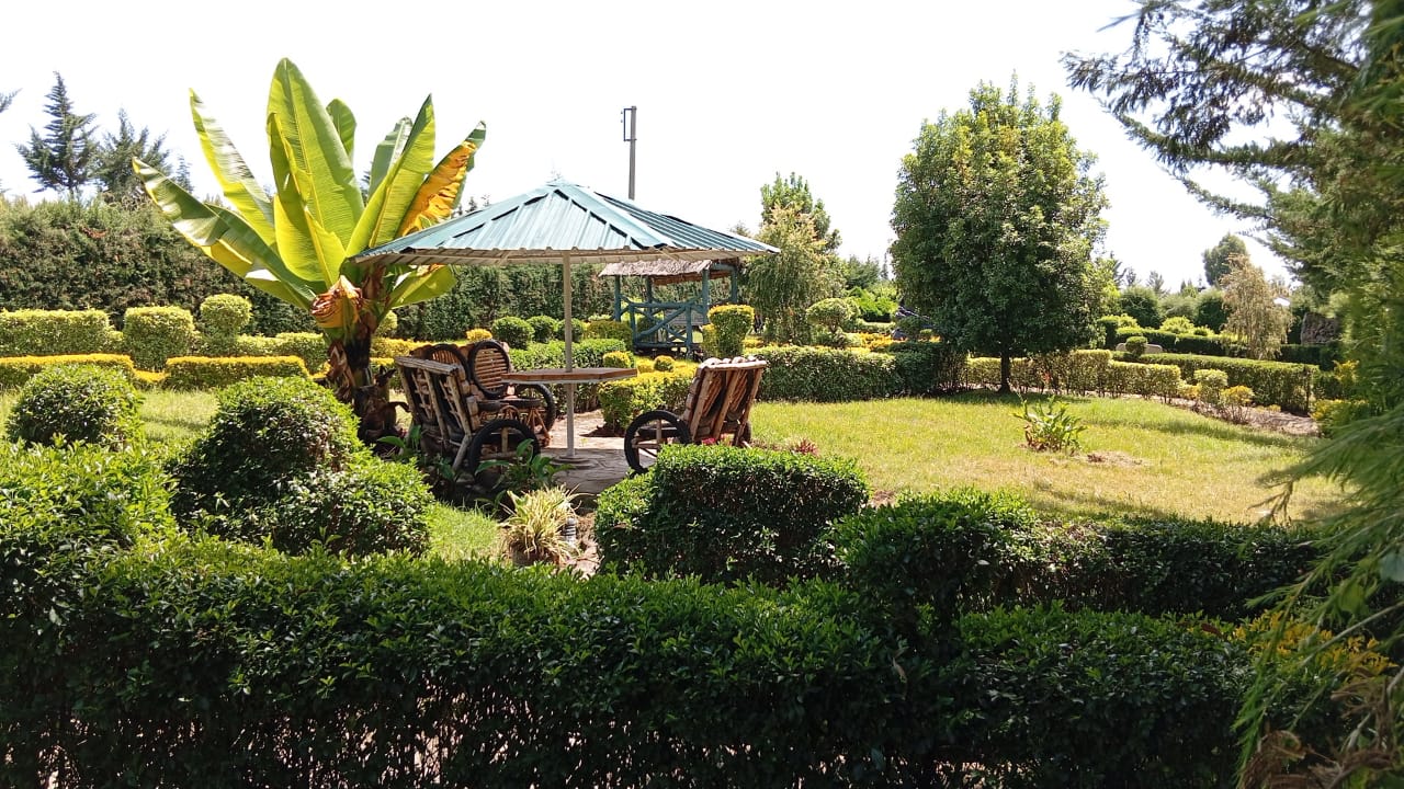 Olesam Camp